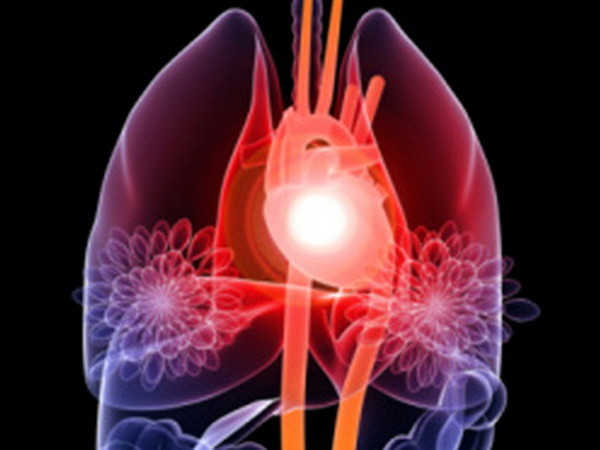 Phát hiện ra cơ chế liên quan đến sự co cứng của cơ tim ảnh 1