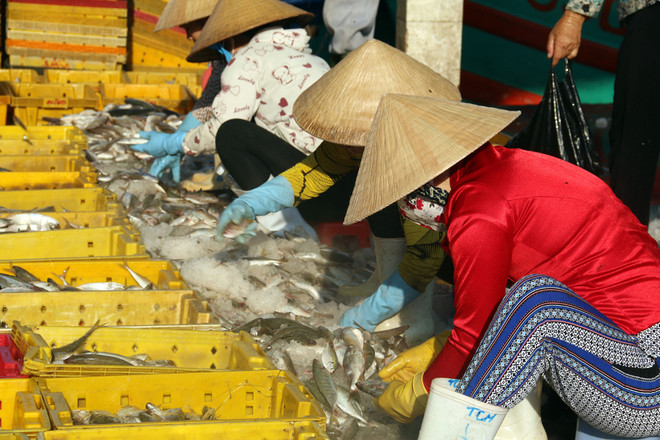 110 doanh nghiệp vừa và nhỏ Việt Nam tìm cơ hội ở Singapore ảnh 1