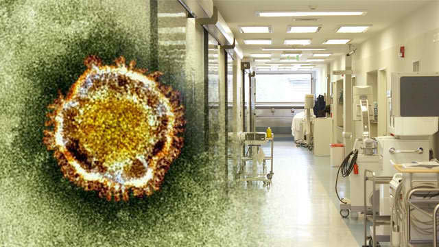 Người đàn ông Oman xét nghiệm dương tính với MERS ở Thái Lan ảnh 1