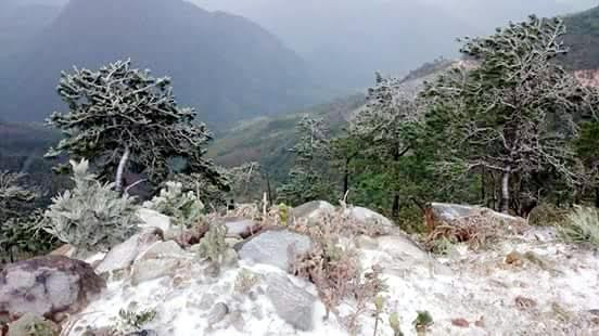 Xuất hiện băng tuyết tại huyện Bình Liêu, Quảng Ninh ảnh 1