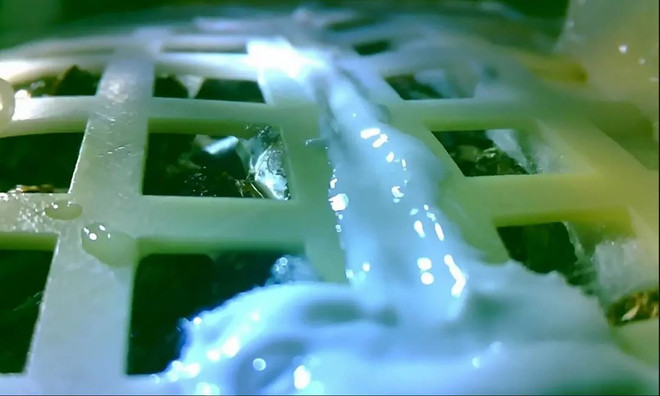 Hạt giống đầu tiên được Trung Quốc mang lên Mặt Trăng nảy mầm ra sao? ảnh 1