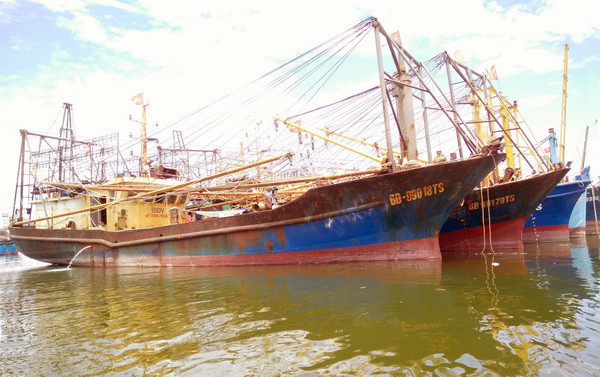 Sự cố tàu vỏ thép Bình Định: Mối lợi nhỏ "đâm thủng" chủ trương lớn ảnh 1