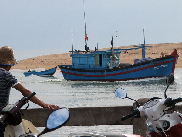 Phú Yên thiếu lao động đi biển, hàng trăm tàu nằm bờ ảnh 1