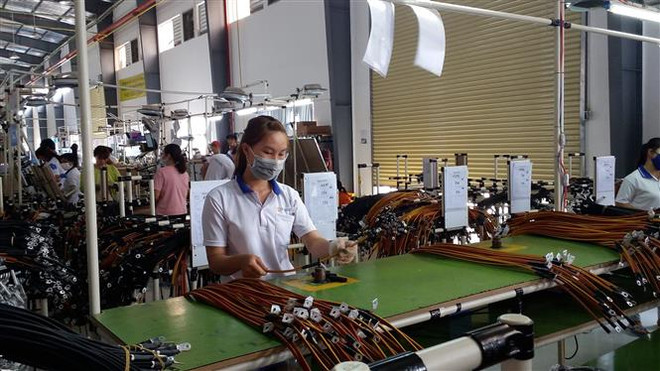 Giao lưu trực tuyến Việt Nam-Nhật Bản về sản phẩm công nghiệp hỗ trợ ảnh 1