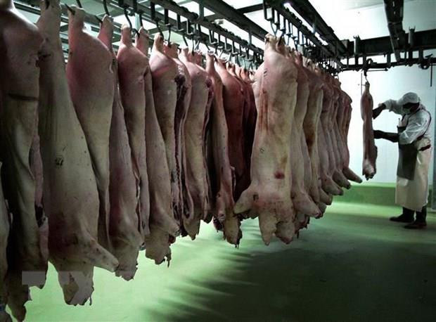 Hy Lạp cấm nhập khẩu thịt lợn từ Bulgaria do dịch tả lợn châu Phi ảnh 1