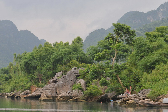 Phong Nha-Kẻ Bàng có 14 loài sinh vật ngoại lai có nguy cơ xâm hại ảnh 1