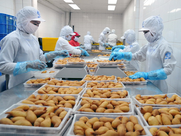 TP Hồ Chí Minh: Xuất khẩu ước đạt 6,24 tỷ USD trong quý 1 ảnh 1