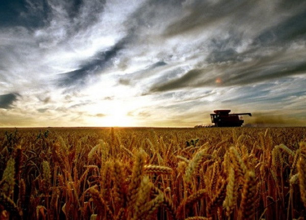 Trung Quốc lập quỹ 375 triệu USD đầu tư nông nghiệp tại Australia ảnh 1