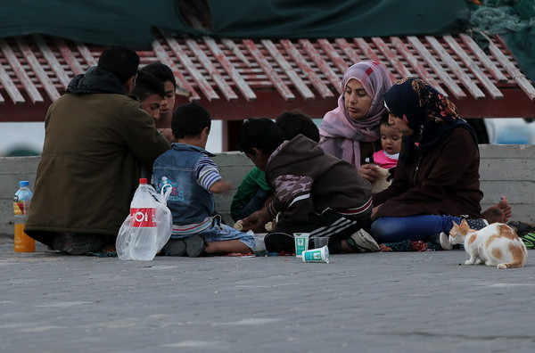 Liên hợp quốc kêu gọi dỡ bỏ các biện pháp phong tỏa Dải Gaza ảnh 1