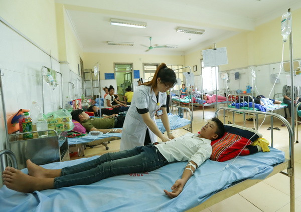 Đang trong giờ học, 11 học sinh bị đàn ong đốt phải nhập viện ảnh 2