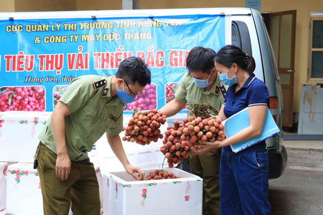 Tỉnh Hưng Yên triển khai tiêu thụ vải thiều của Bắc Giang ảnh 1