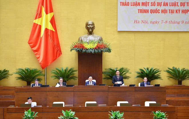 Thảo luận về dự án Luật Thanh tra và Luật Thực hiện dân chủ ở cơ sở ảnh 1