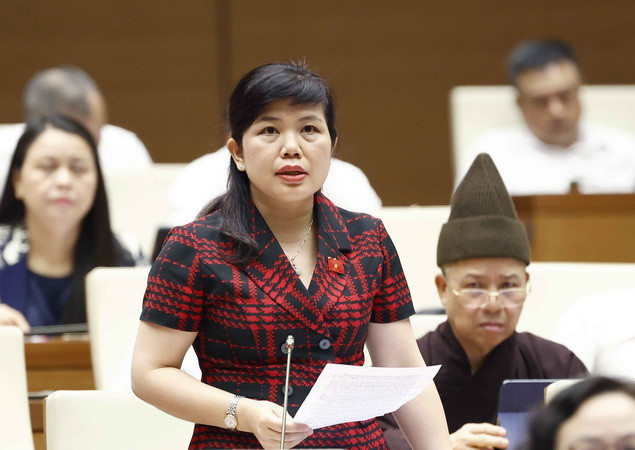 Thảo luận về dự án Luật Thanh tra và Luật Thực hiện dân chủ ở cơ sở ảnh 2