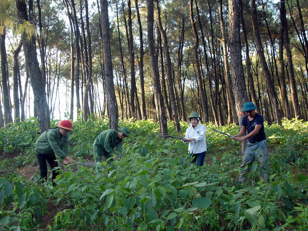 Ban Chỉ đạo Tây Nguyên làm việc với Kon Tum về bảo vệ rừng ảnh 1
