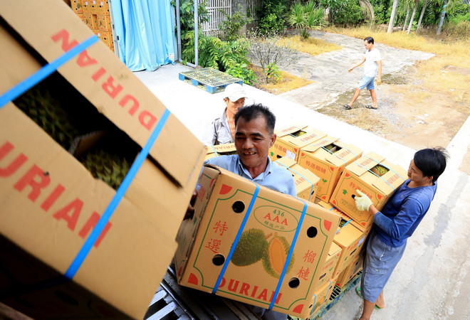 ttxvn_1303_xuat khau sau rieng.jpg