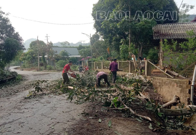 Sáng 18/4, người dân vẫn tiếp tục thu dọn cây đổ để đảm bảo an toàn giao thông trên các tuyến đường ở Lào Cai. (Nguồn: Báo Lào Cai) 1804_lao cai giong loc.jpg