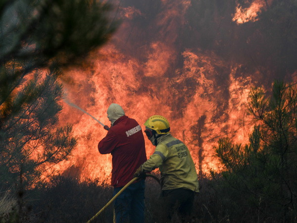 Bồ Đào Nha ban bố tình trạng thảm họa do cháy rừng tiếp diễn ảnh 1