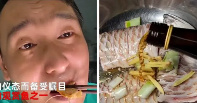 Người đàn ông đã chia sẻ đoạn video ăn cá rồng lên mạng Weibo Bữa ăn sang chảnh “chan nước mắt” của người đàn ông nuôi cá rồng ảnh 1