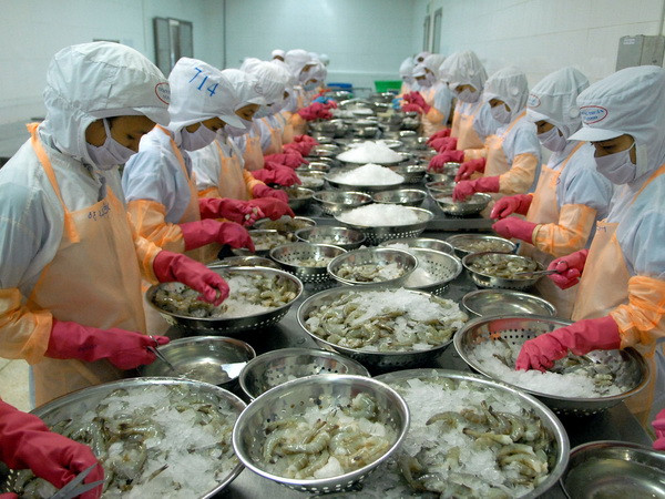 VASEP kháng kiện thuế chống bán phá giá tôm lần thứ tám ảnh 1