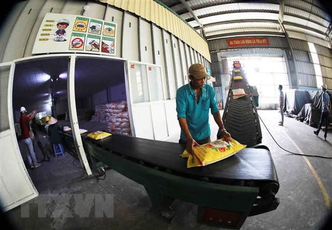 Thị trường nông sản trong tuần qua: Giá lúa tại ĐBSCL ổn định ảnh 2