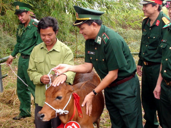 150 hộ nghèo ở các xã biên giới được tặng bò giống sinh sản ảnh 1