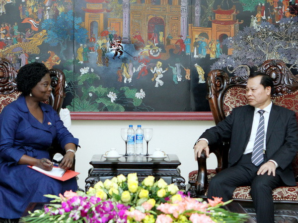 Phó Thủ tướng tiếp Giám đốc Ngân hàng Thế giới tại Việt Nam ảnh 1