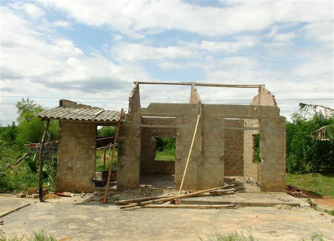 Sớm chuyển đổi diện tích rừng để thi công cao tốc Cam Lộ-La Sơn ảnh 1