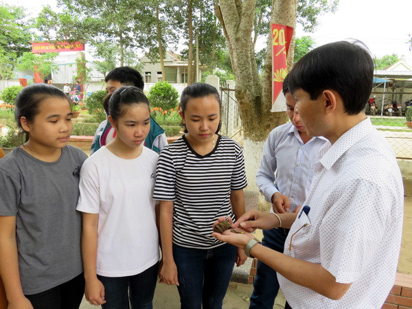 Bảy học sinh lớp 1 ngộ độc do ăn hạt ngô đồng rơi trên sân trường ảnh 1