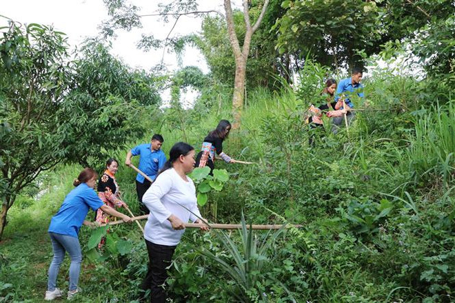 Nhiệt huyết trí thức trẻ tình nguyện về vùng khó Lai Châu ảnh 2