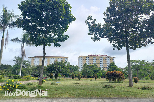 Bị cắt điện sinh hoạt vì không đồng tình tăng 70% phí dịch vụ ảnh 1