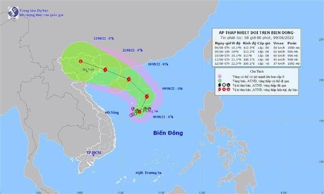 Chủ động ứng phó với áp thấp nhiệt đới có khả năng mạnh lên thành bão ảnh 1