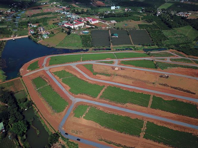 Lâm Đồng: Nhiều đồi chè, càphê tại B’Lao bị 'xẻ thịt,' phân lô bán nền ảnh 3