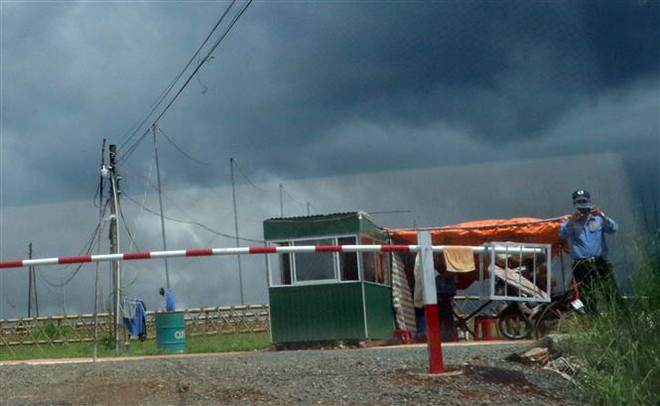 Lâm Đồng: Nhiều đồi chè, càphê tại B’Lao bị 'xẻ thịt,' phân lô bán nền ảnh 4