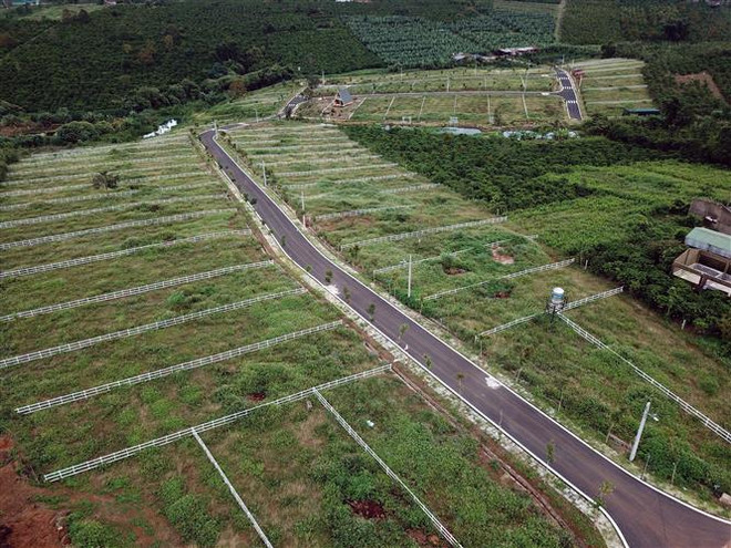 Lâm Đồng: Nhiều đồi chè, càphê tại B’Lao bị 'xẻ thịt,' phân lô bán nền ảnh 1