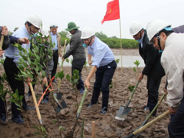 Míttinh hưởng ứng ngày Đất ngập nước thế giới năm 2017 ảnh 1