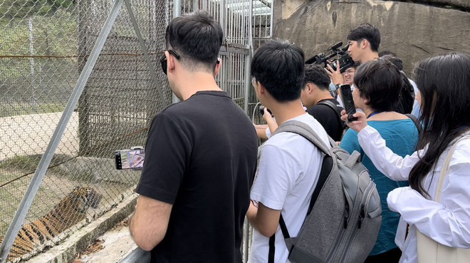 Độc đáo mô hình bảo tồn giống hổ Hoa Nam của Trung Quốc ảnh 5