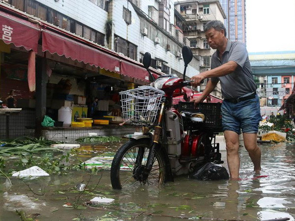 Bão Malakas đổ bộ vào Nhật Bản sau khi càn quét qua Trung Quốc ảnh 1