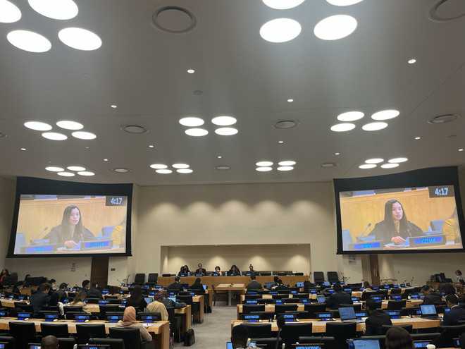 Việt Nam kêu gọi đảm bảo tài chính cho hoạt động phát triển của LHQ ảnh 1