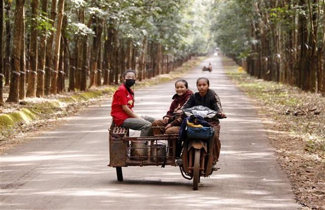 Công ty Việt Nam tại Lào gắn kết tình hữu nghị hai đất nước ảnh 2