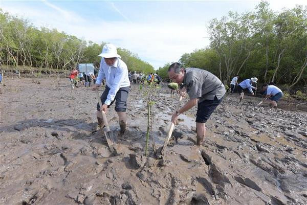Điều chỉnh Đề án bảo vệ, phát triển rừng ven biển giai đoạn 2015-2020 ảnh 1