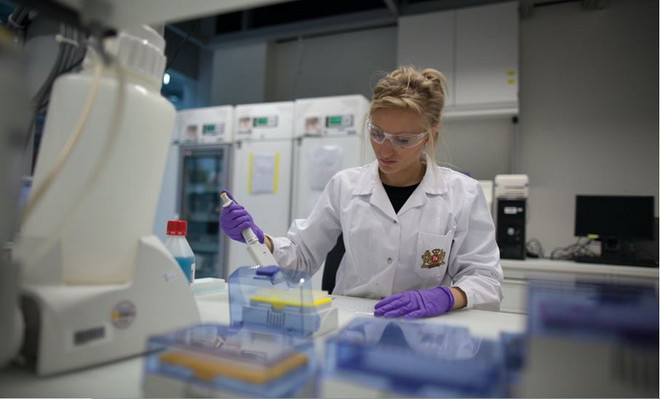 Cần phát kiến mới để giúp kiểm soát thuốc lá thực tiễn hơn ảnh 1