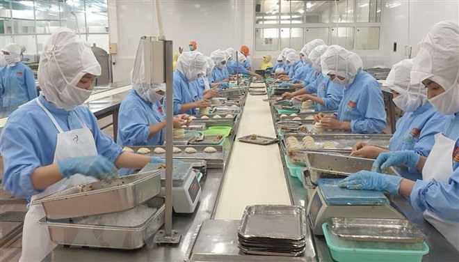 Chế biến thủy sản đông lạnh tại Cholimexfood. (Ảnh: TTXVN phát) Việt Nam và Lào còn nhiều dư địa trong hợp tác thương mại ảnh 2