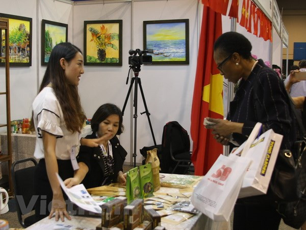 Thúc đẩy hợp tác nhiều mặt giữa Việt Nam-Nam Phi ảnh 1