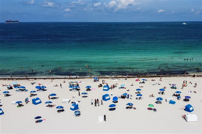 Nhiệt độ các đại dương trên thế giới vẫn ở mức nóng nhất lịch sử ảnh 1