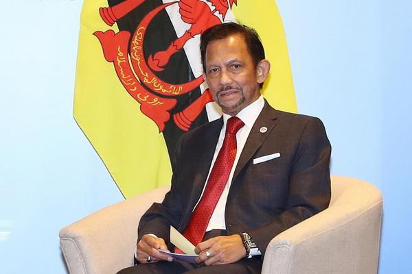 Quốc vương Brunei Darussalam sẽ thăm cấp Nhà nước tới Việt Nam ảnh 1
