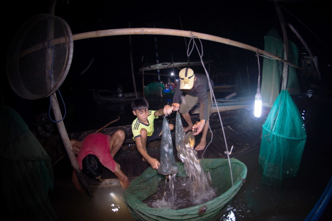 [Photo] Gian nan cuộc sống mưu sinh mùa nước nổi ngày lũ về sớm ảnh 1