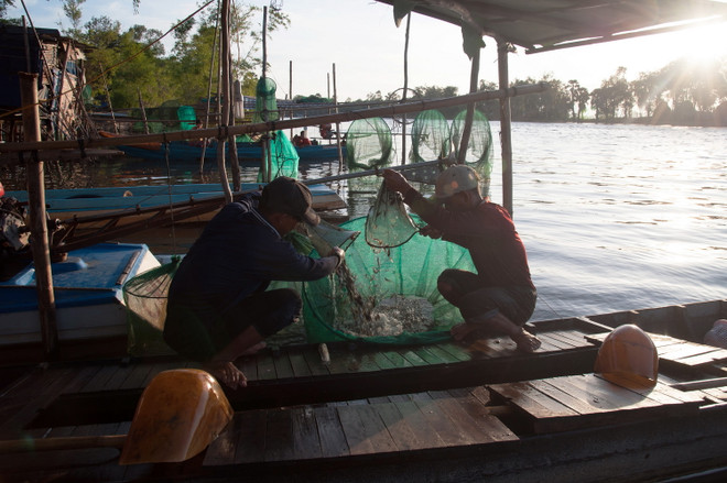 [Photo] Gian nan cuộc sống mưu sinh mùa nước nổi ngày lũ về sớm ảnh 4