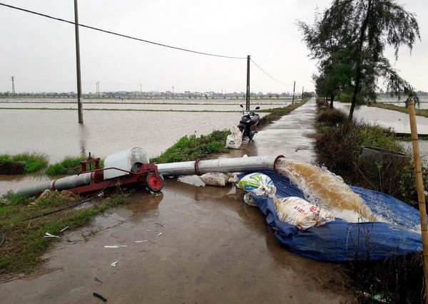 Các tỉnh, thành phía Bắc khẩn trương khắc phục nhanh hậu quả bão số 3 ảnh 2
