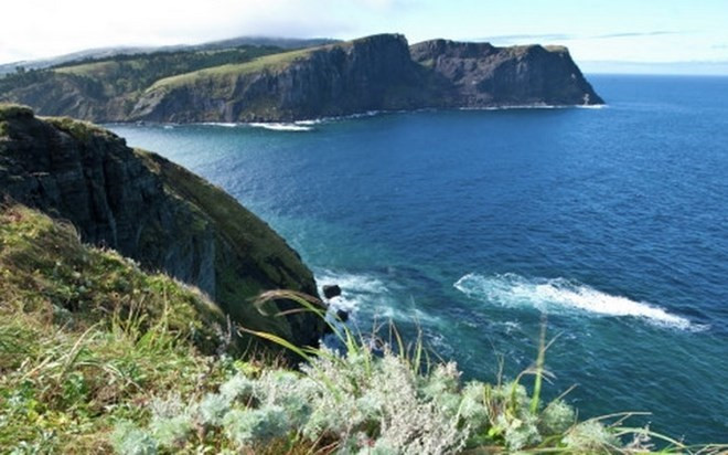 Nhật Bản cân nhắc điều kiện để Nga trao trả đảo tranh chấp ảnh 1