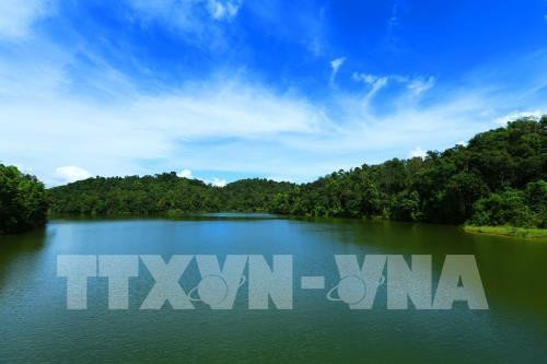 Cần thành lập Khu bảo tồn loài-sinh cảnh Pá Khoang-Mường Phăng ảnh 1